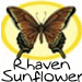 rhavensunflower's Avatar