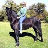 HorseWoman's Avatar