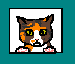 gracibelle's Avatar