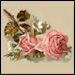 Sjdv's Avatar