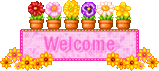 Welcome!