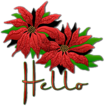 Hello