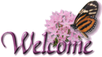 Welcome!