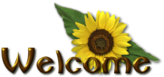 Welcome!